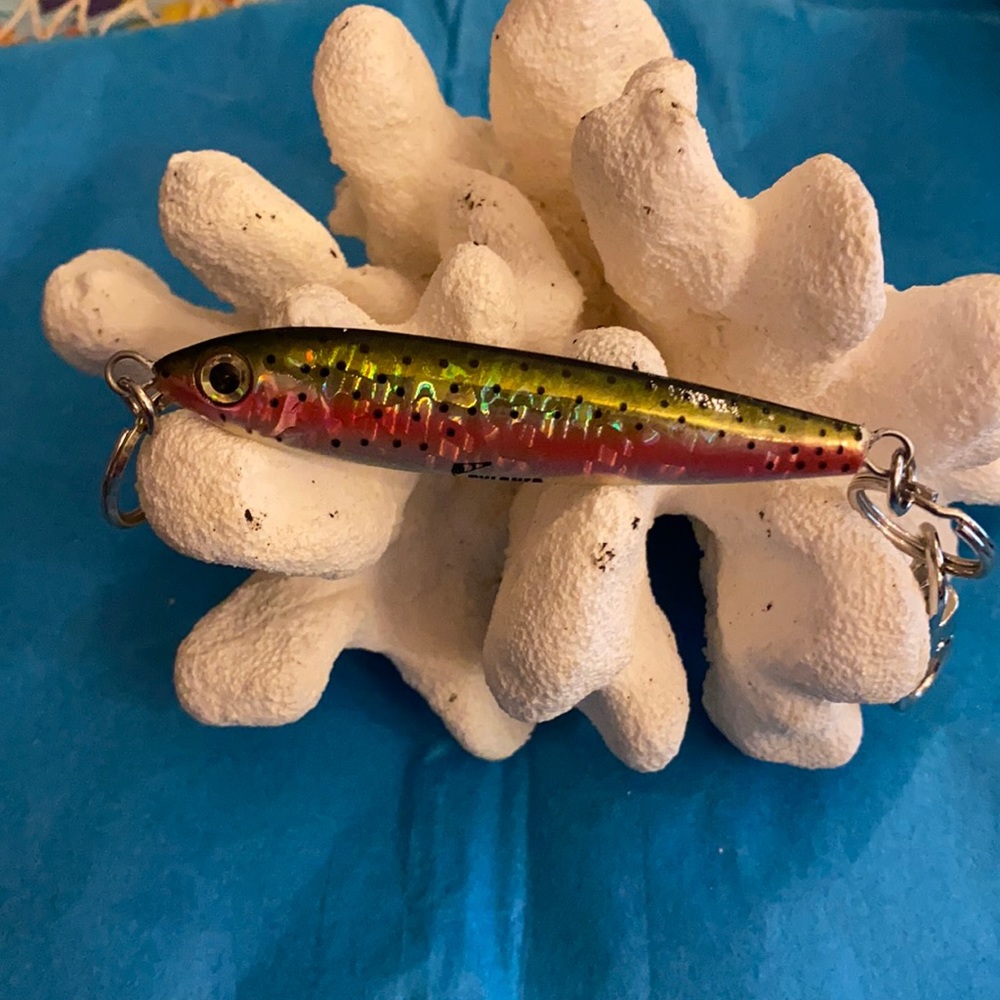 Rainbow trout key chain